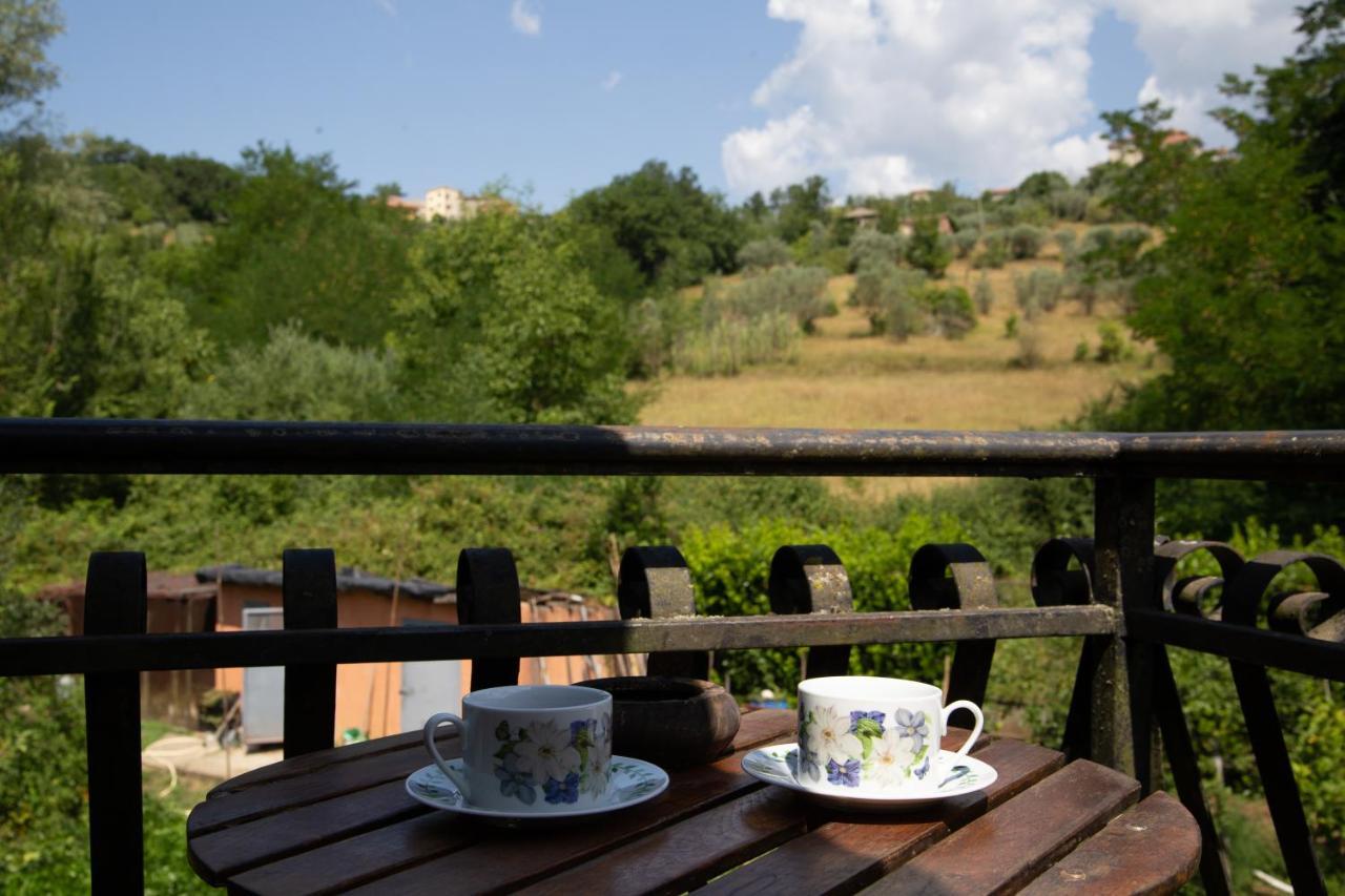 B&B Villa Il Noce Picinisco Bagian luar foto